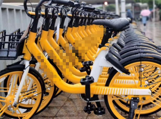 英语作文:规范使用共享单车倡议书