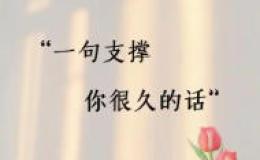 我的学校生活英语作文带翻译