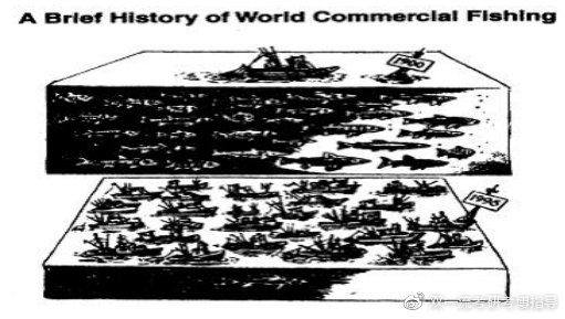 考研英语真题：环境保护类高分范文