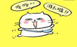 我的周末生活英语作文范文及翻译