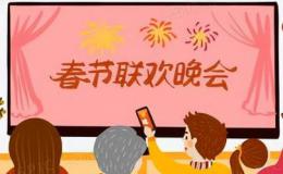 给网友介绍春节联欢晚会情况