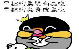 早起的鸟儿有虫吃